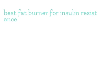 best fat burner for insulin resistance