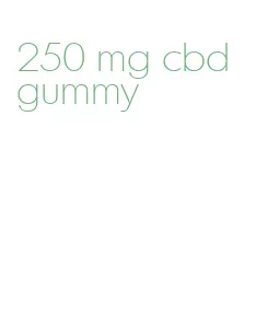 250 mg cbd gummy