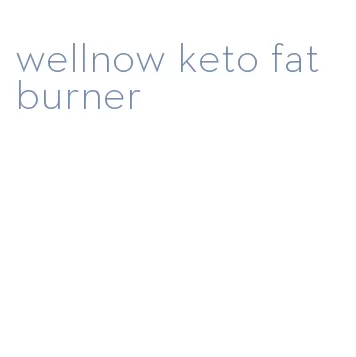 wellnow keto fat burner