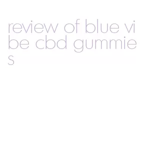 review of blue vibe cbd gummies