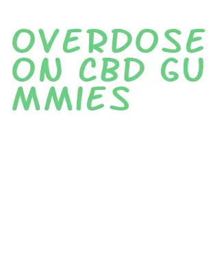 overdose on cbd gummies