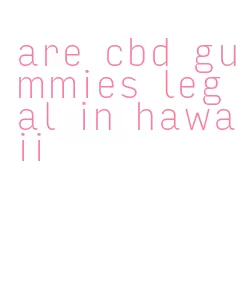 are cbd gummies legal in hawaii