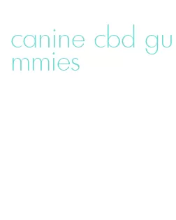 canine cbd gummies