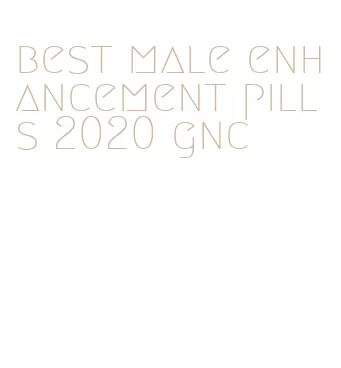 best male enhancement pills 2020 gnc