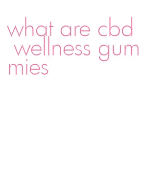 what are cbd wellness gummies