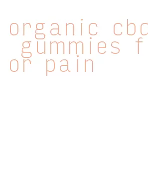 organic cbd gummies for pain