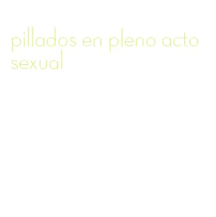 pillados en pleno acto sexual