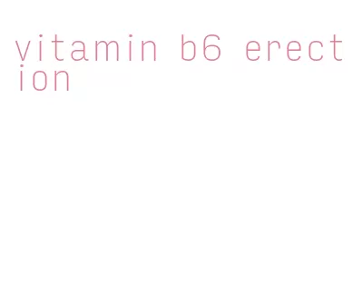 vitamin b6 erection