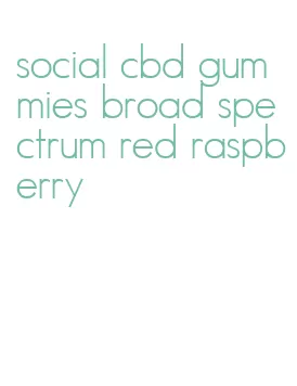 social cbd gummies broad spectrum red raspberry