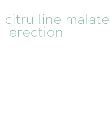 citrulline malate erection