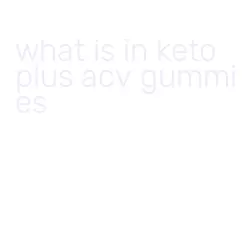 what is in keto plus acv gummies