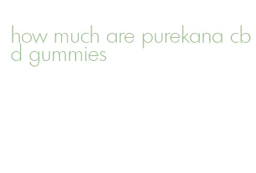 how much are purekana cbd gummies