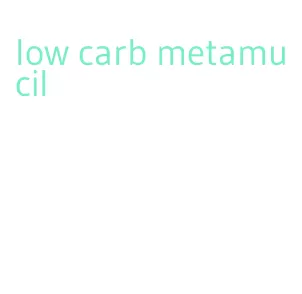 low carb metamucil