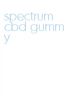 spectrum cbd gummy