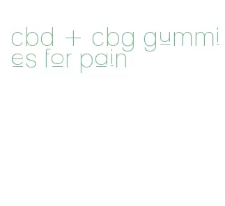 cbd + cbg gummies for pain