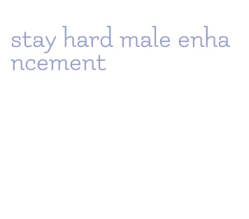 stay hard male enhancement