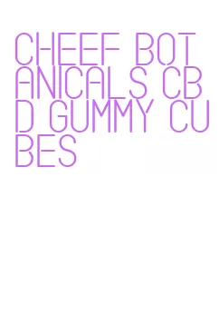 cheef botanicals cbd gummy cubes