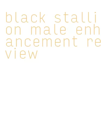 black stallion male enhancement review