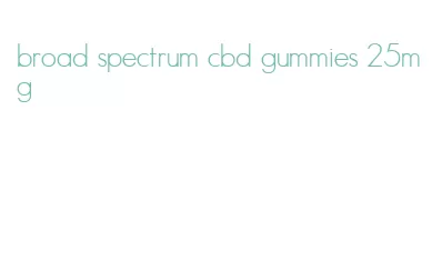 broad spectrum cbd gummies 25mg