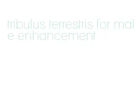 tribulus terrestris for male enhancement