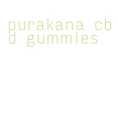 purakana cbd gummies