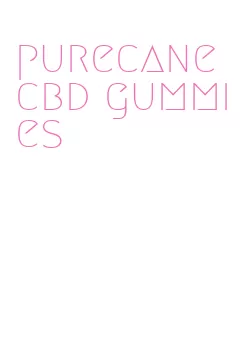 purecane cbd gummies