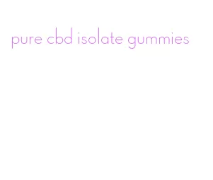 pure cbd isolate gummies