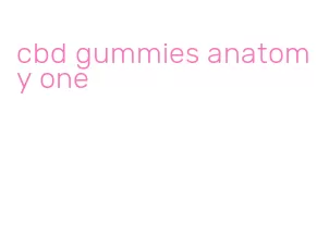 cbd gummies anatomy one