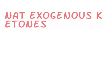 nat exogenous ketones