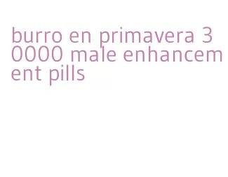 burro en primavera 30000 male enhancement pills