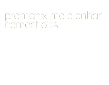 pramanix male enhancement pills