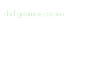 cbd gummies camino