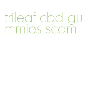 trileaf cbd gummies scam