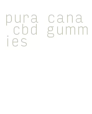 pura cana cbd gummies