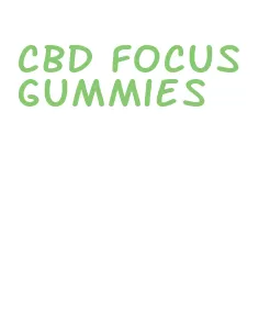 cbd focus gummies