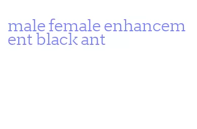 male female enhancement black ant