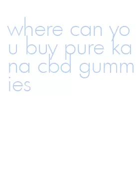 where can you buy pure kana cbd gummies