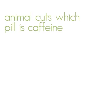 animal cuts which pill is caffeine