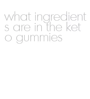 what ingredients are in the keto gummies