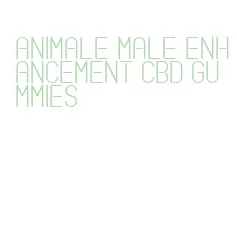 animale male enhancement cbd gummies