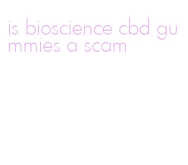 is bioscience cbd gummies a scam