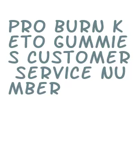 pro burn keto gummies customer service number