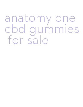 anatomy one cbd gummies for sale