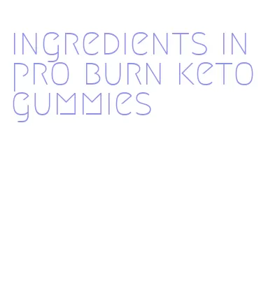 ingredients in pro burn keto gummies