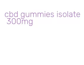 cbd gummies isolate 300mg