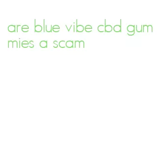 are blue vibe cbd gummies a scam