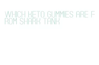 which keto gummies are from shark tank