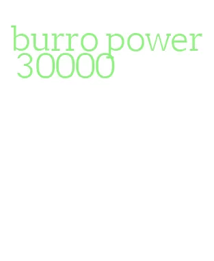 burro power 30000