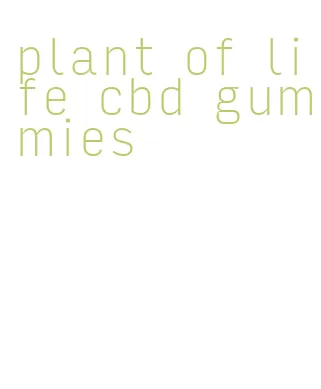 plant of life cbd gummies