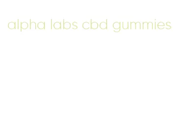 alpha labs cbd gummies